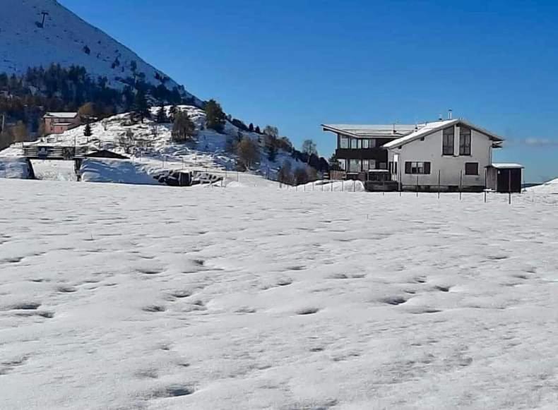 Introbio La Casa Di Sara In Valsassina 아파트 외부 사진