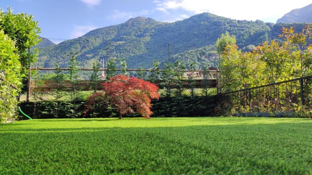 Introbio La Casa Di Sara In Valsassina 아파트 외부 사진